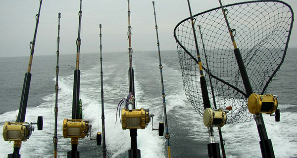 Reelin Sportfishing Charters